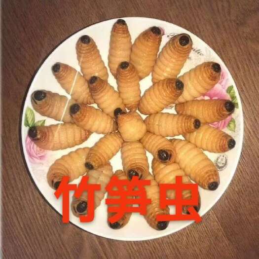 黑龙江批发竹笋虫