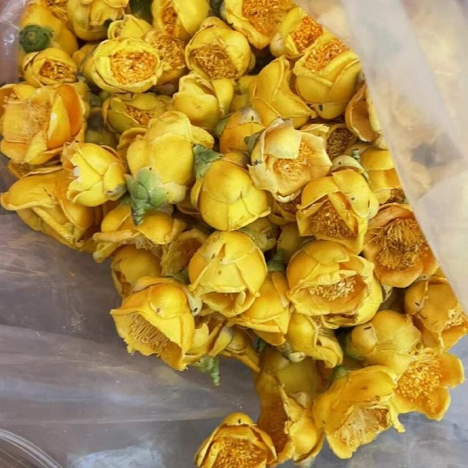 玉林批发金花茶 十万大山金花茶产地一手货源 新货干货精选金花茶