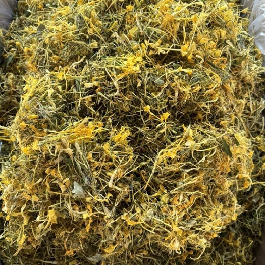 玉林【野生】金银花泡茶正品优质凉茶晒干清香袋装银花茶批发包邮
