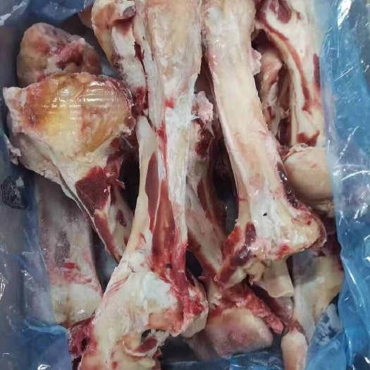 赤峰白俄牛胸骨