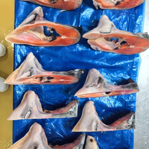 青岛三文鱼