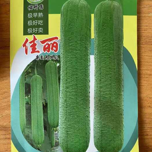 衡阳县佳丽杂交肉丝瓜种子蔬菜种子早熟丝瓜种籽大田种植丝瓜