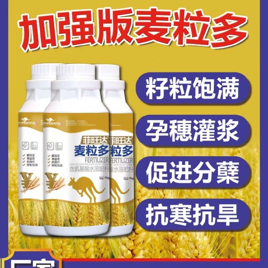 青岛麦粒多 增加分蘖 籽粒饱满 穗大粒饱 增加产量
 促进生长