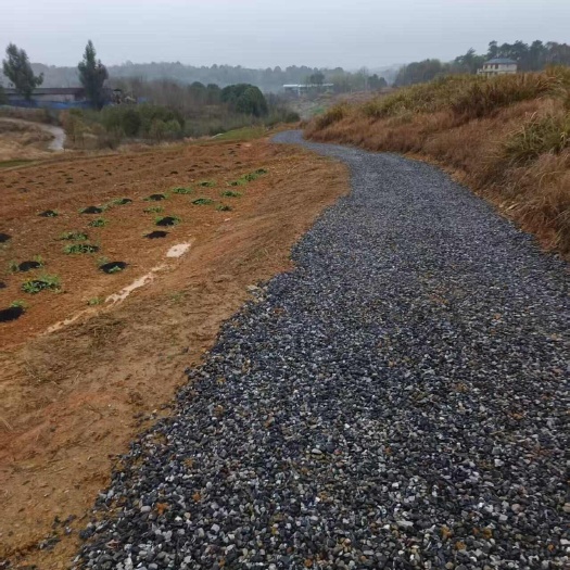 湖南衡阳地区  荒山 荒田 村集体资源出租