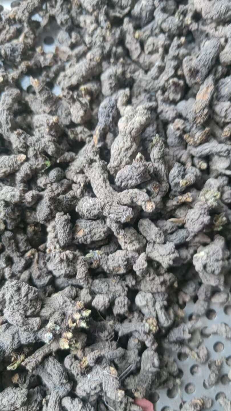 石阡县天葵子