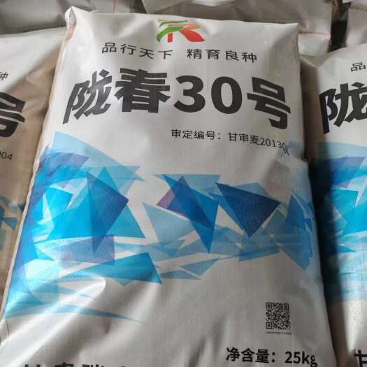 春小麦种子，质量好，品种齐全，价格低，产量高