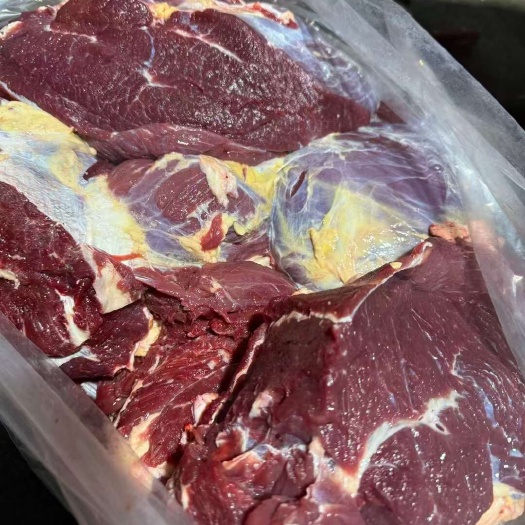 中牟县牛肉 冻牛肉 四分体精修去油纯干 牛前 牛后 源头厂家直供