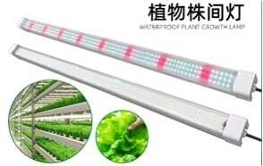 中山市LED植物补光灯，助生长灯
