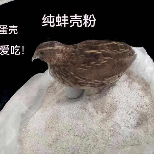 盘山县河蚌粉