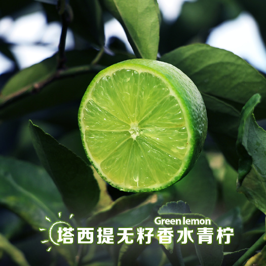 温岭市塔希提无籽柠檬无籽、香水浓郁 泡水做菜 多种烹饪