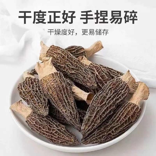 产地直销批发 羊肚菌干货新鲜烘干头茬羊肚菇菌菇土特产礼盒