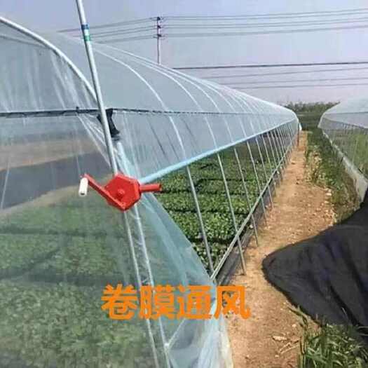 沭阳县定做保温大棚养殖大棚种植大棚