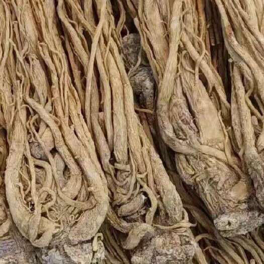 岷县当归