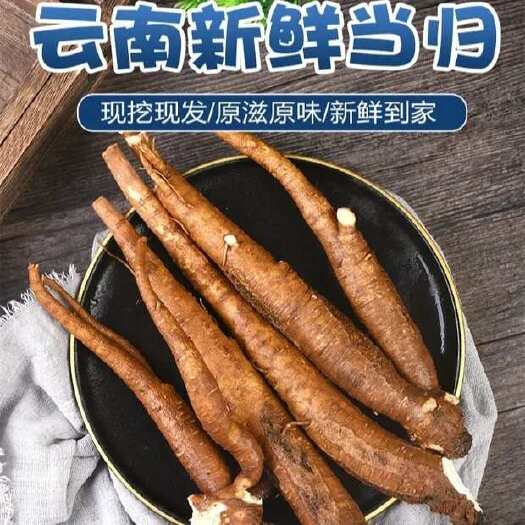 曲靖甜当归干货整根当归西归土人参自然风干煲汤非干货云南