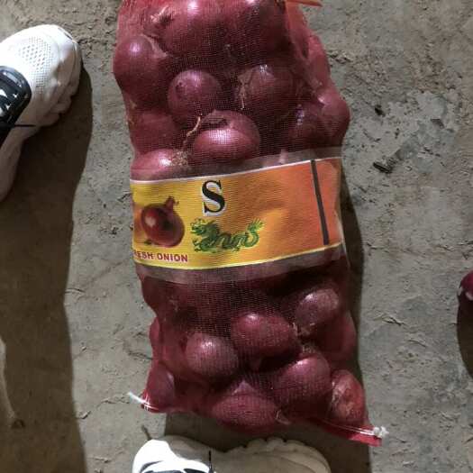 金乡县出口货，包装好的20斤装，挑选好的精品价格不高，