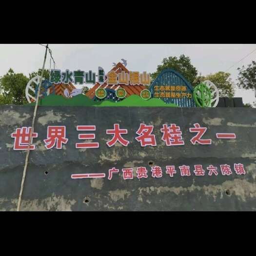 平南县世界地理标志产品，桂皮中的王者，支持全国各地发货。