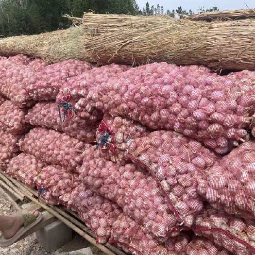 邳州市要货私