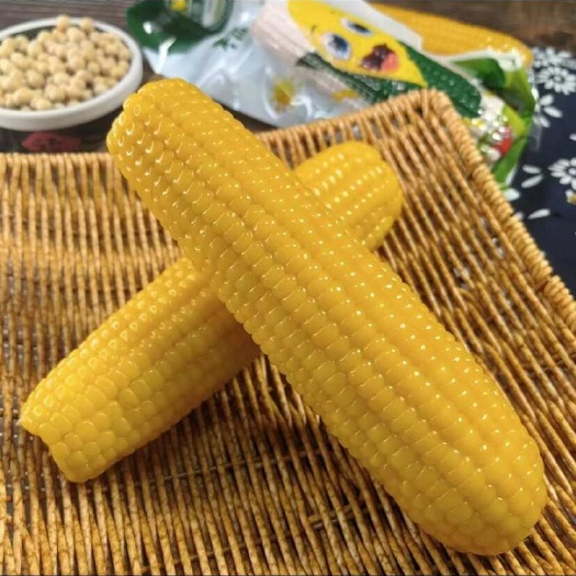 长春糯玉米 东北糯玉米  甜糯玉米