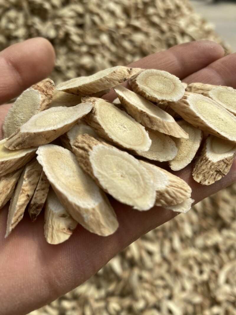 黄芪种子  当年新采黄芪籽 发芽率95%以上提供技术回收产品