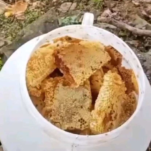 湘西土家族苗族自治州特产纯正土蜂蜜 农副产品营养滋补品