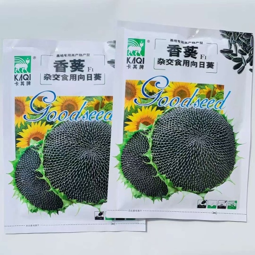 沭阳县向日葵种子，食葵种子