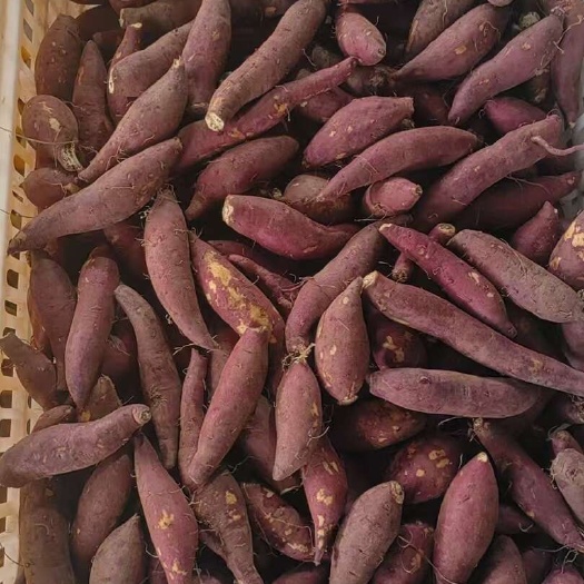 榴莲蜜薯小果迷你果宝宝果早餐果 玛莎莉 红瑶红薯口感绵密