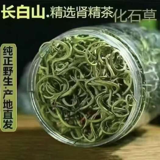 抚松县长白山肾精茶嫩叶 多孢子肾精草黄金草特 级纯天 然