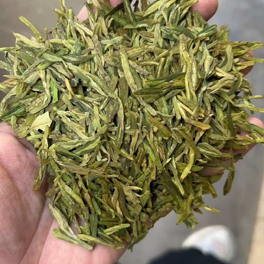 松阳县秋季龙井
