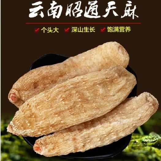 亳州云南昭通小草坝天麻10个20个30个40个50个60个一斤天