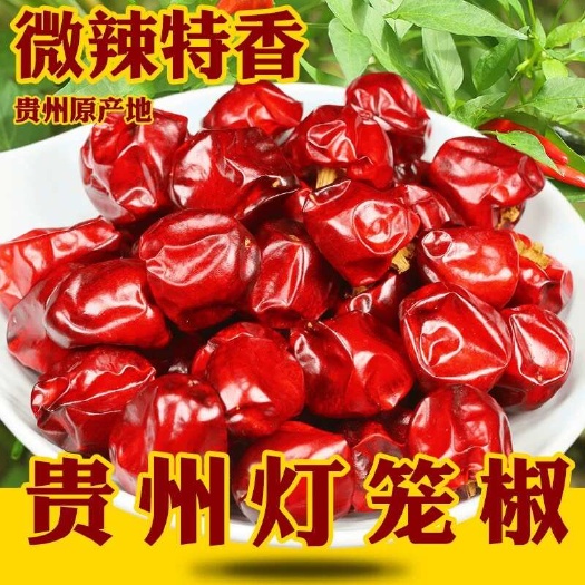 郑州【包邮】贵州灯笼椒微辣特香干辣椒麻辣烫香锅干锅海椒遵义不辣