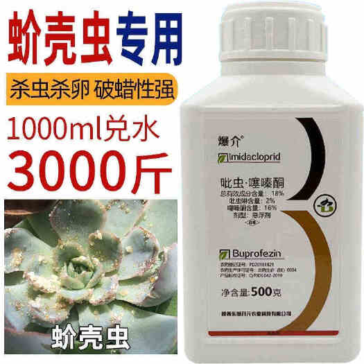 巨野县蚧壳虫药爆介18%吡虫啉噻嗪酮杀虫剂正品批发价农药柑橘树专用