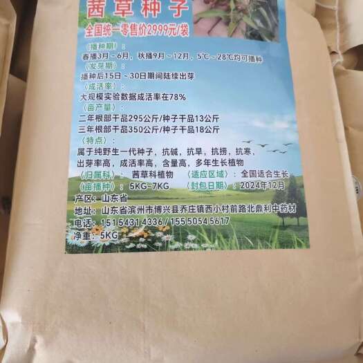 博兴县茜草种子，常年供应