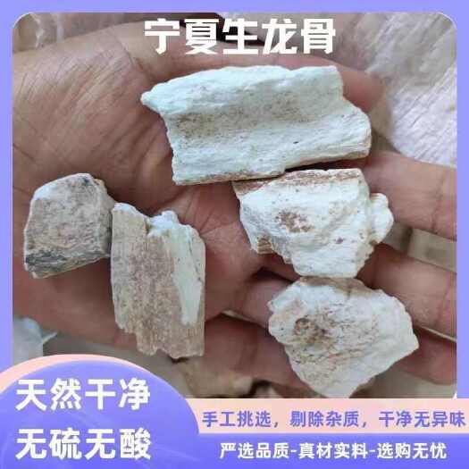 亳州龙骨中药材 生龙骨 宁夏水洗龙骨 吸舌龙骨土龙骨 龙骨颗