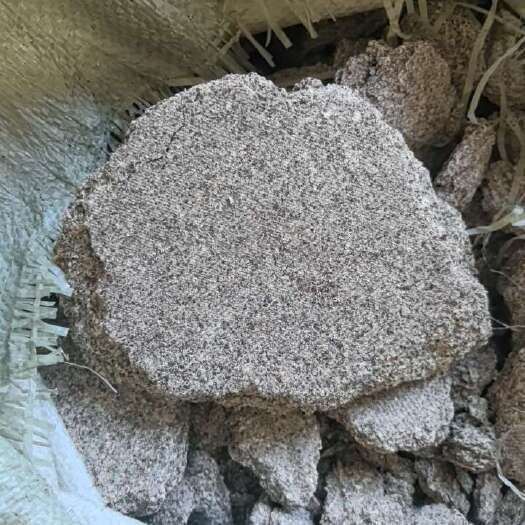 梅河口市苏子饼粕 冷榨榨油出来的苏子粕