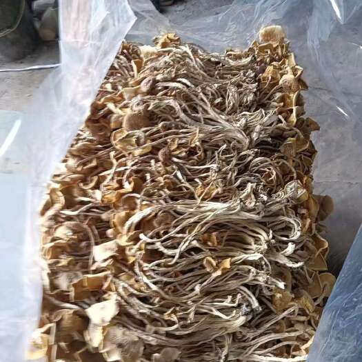 广昌县江西开伞菇