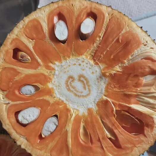宾阳县印尼红菠萝蜜新鲜热带水果越南红肉菠萝蜜脆甜大果一整个