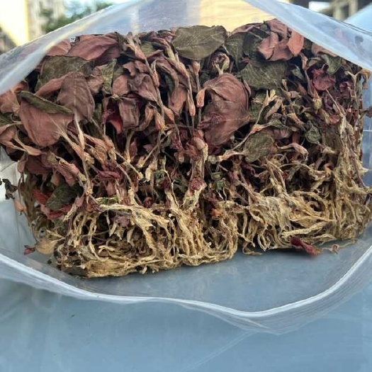 南靖金线莲红霞金线莲，厂家直销批发一包500克，价格优势