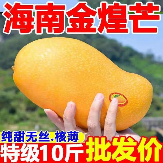 海南三亚树上熟金煌芒芒果当季水果现摘现发新鲜芒果青芒精品芒果
