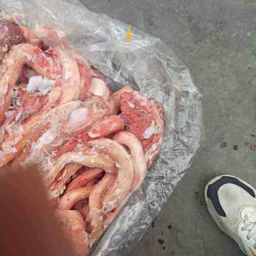 郑州带根牛鞭