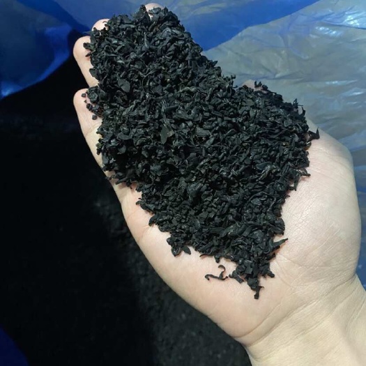 新品裙带菜批发 S码 高泡发 可做调料包免切