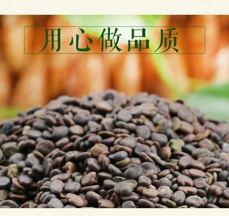 黄芪种子  当年新采黄芪籽 发芽率95%以上提供技术回收产品