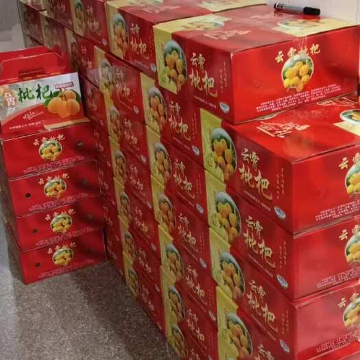 福建漳州云霄新鲜枇杷现摘现发当季水果批发零售