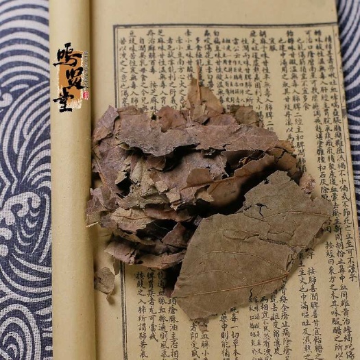 中药材优质柿蒂柿叶茶柿子叶茶柿子叶粉柿叶粉 新货