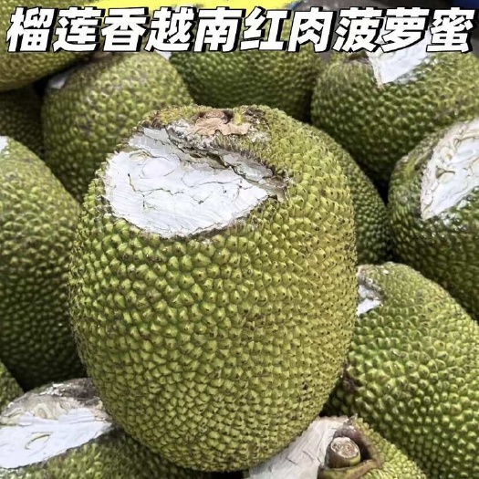 宾阳县越南红肉菠萝蜜一整个新鲜木菠萝泰国水果红心菠萝蜜包邮