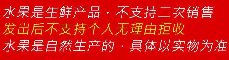 禁止蕉绿-水培香蕉福建苹果蕉 自然熟粉蕉 新鲜采摘 香甜软糯