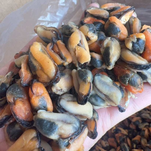 淡菜 地摊电商批发淡菜干干淡菜海虹干海产品批发