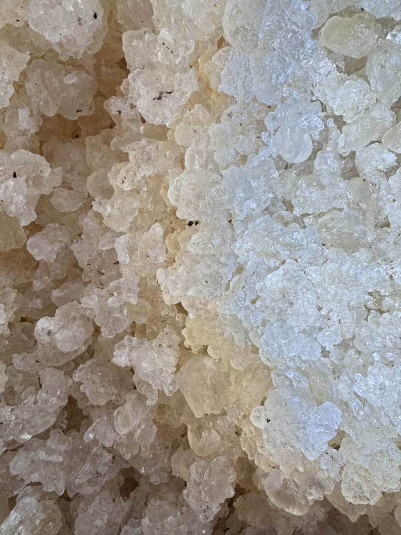 广州雪燕 雪燕批发 量大可商议