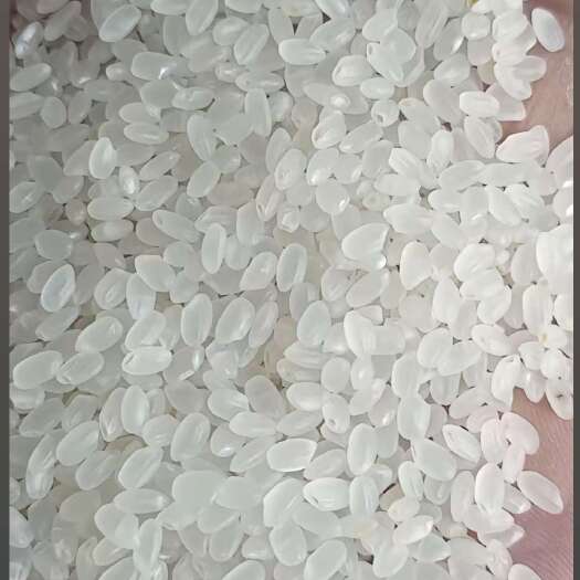 五常市一等珍珠米碎米率10%
