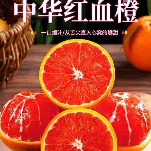 秭归县湖北中华红橙一件代发