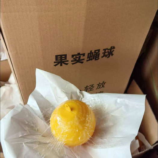 深圳捕蝇球，强力粘虫胶